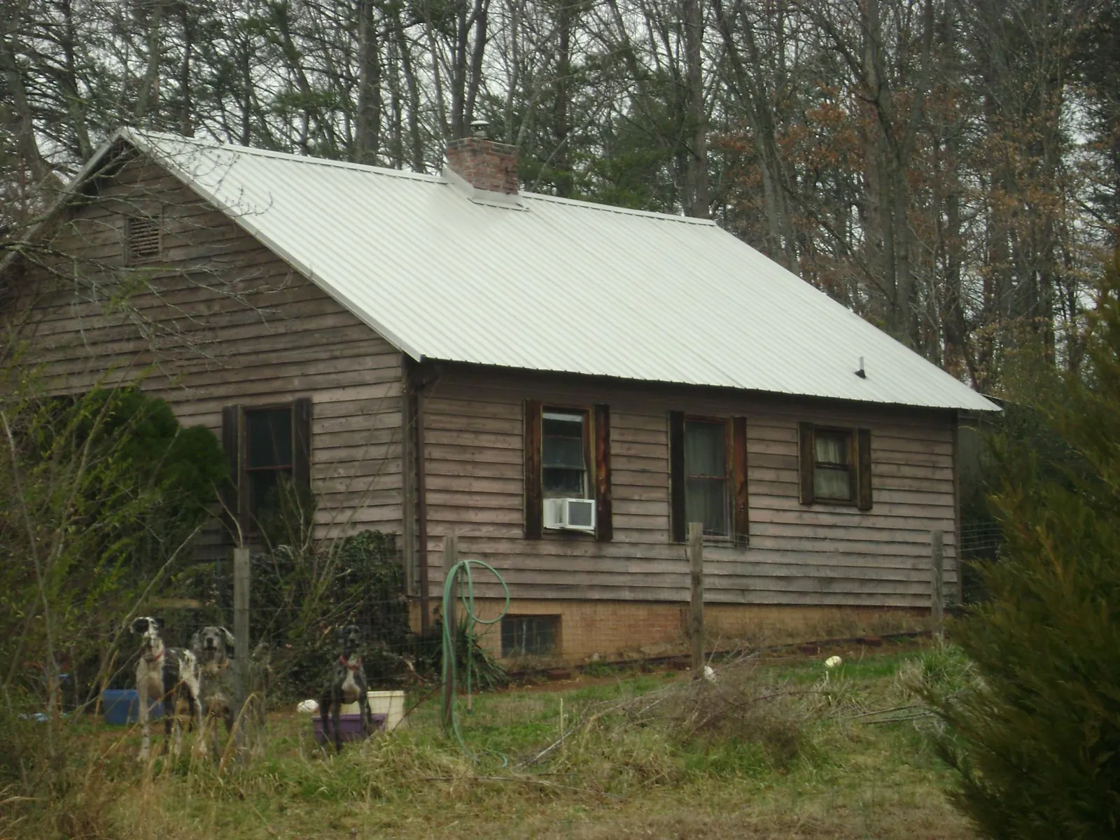 White metal roof on an old wood sided farmhouse, from a Metal Roof Installation job in Thurman